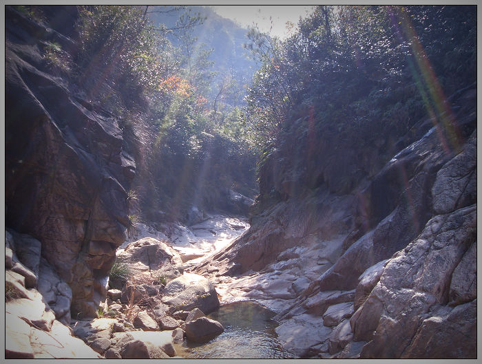 091206白水溪上游行