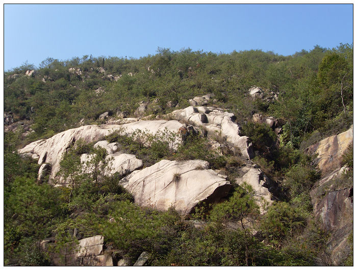 091206白水溪上游行