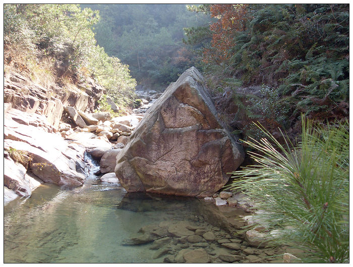 091206白水溪上游行