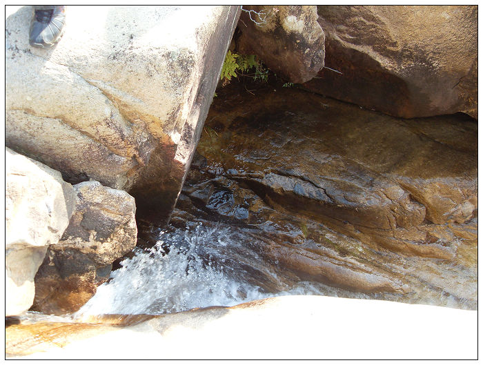 091206白水溪上游行