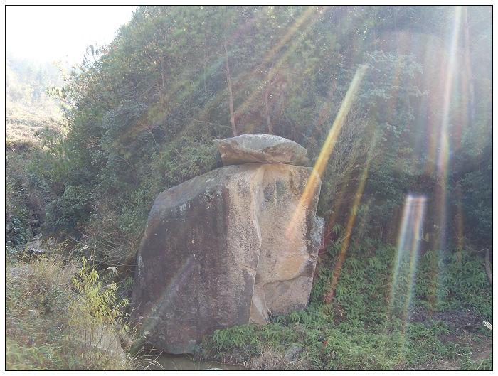 091206白水溪上游行