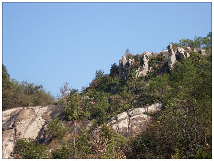 091206白水溪上游行