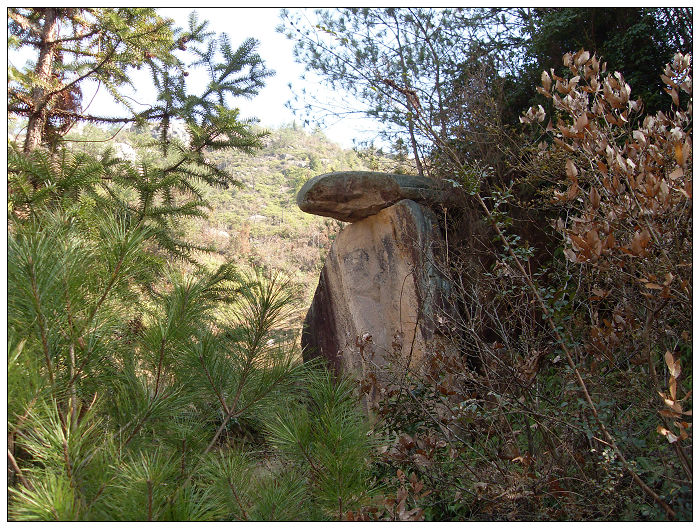 091206白水溪上游行