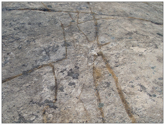 091206白水溪上游行