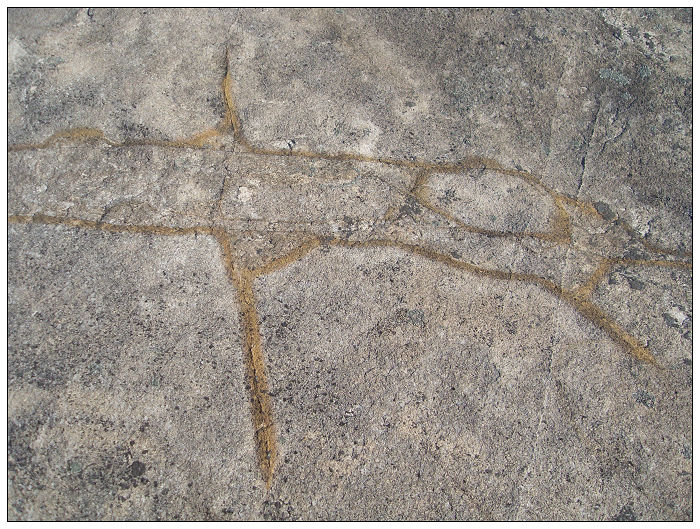 091206白水溪上游行