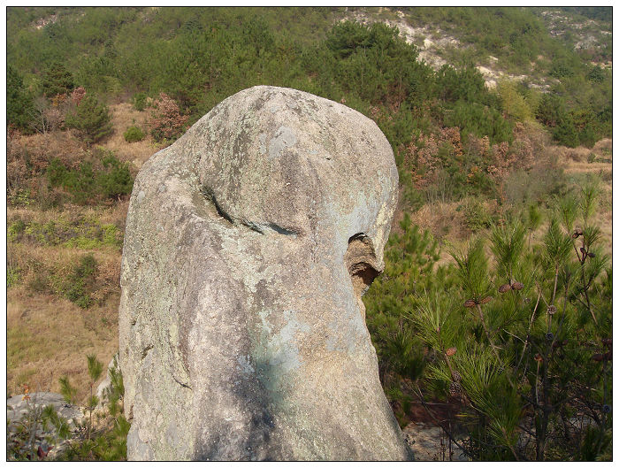 091206白水溪上游行