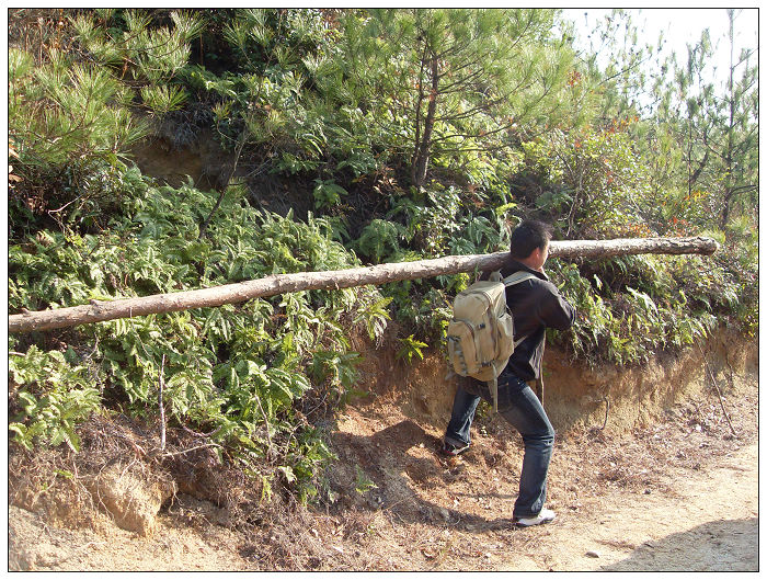 091206白水溪上游行