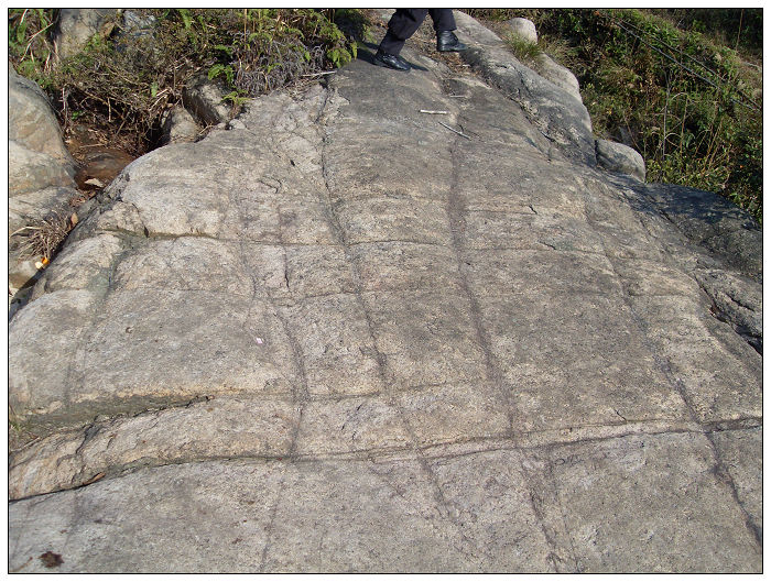 091206白水溪上游行