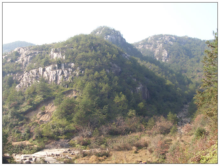 091206白水溪上游行