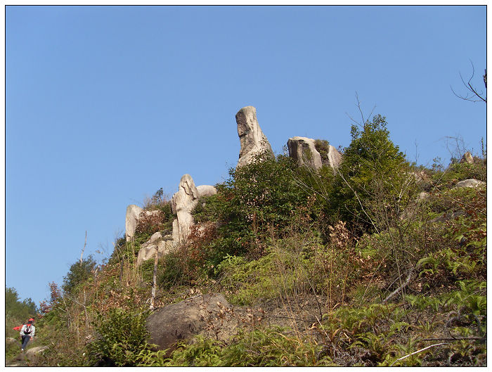 091206白水溪上游行