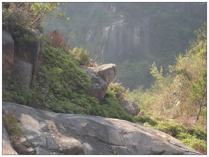 091206白水溪上游行