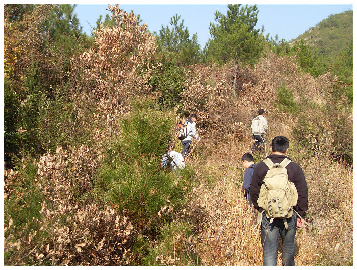 091206白水溪上游行