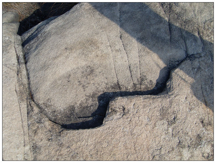 091206白水溪上游行