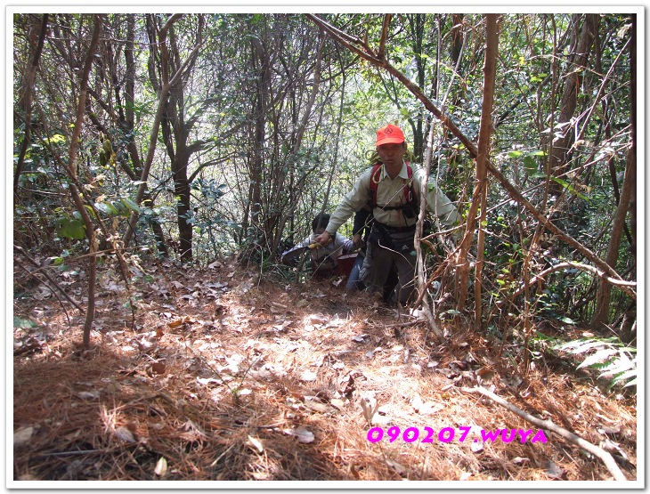 [天台驴友俱乐部]活动----牛年开驴.大柳溪