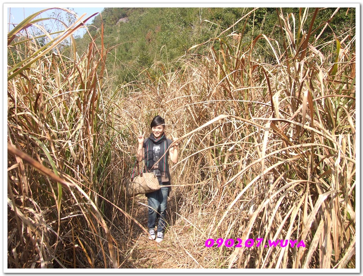 [天台驴友俱乐部]活动----牛年开驴.大柳溪