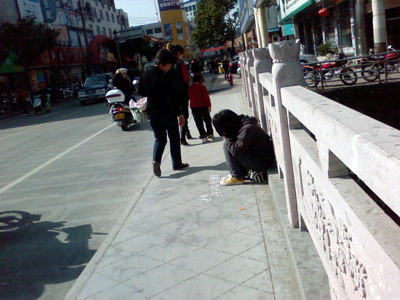 [原创]实拍天台西桥头美女乞丐花