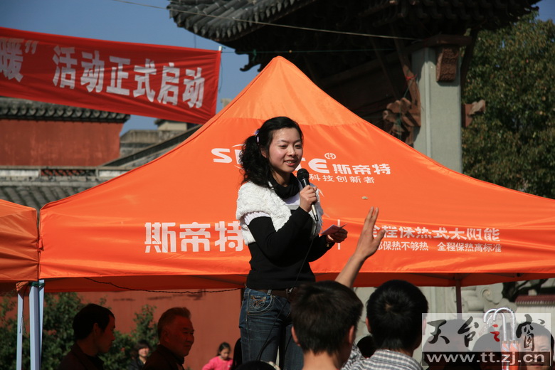 老树老树