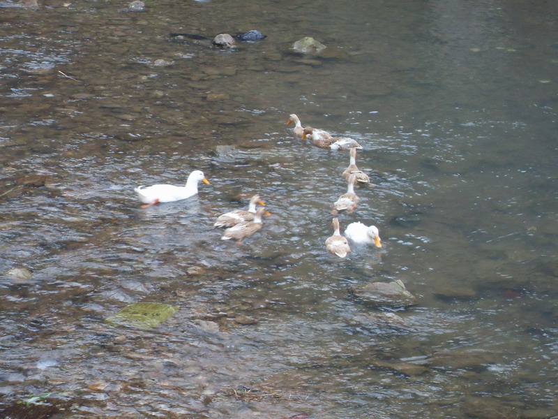 [天台驴友俱乐部]___休闲活动剪影