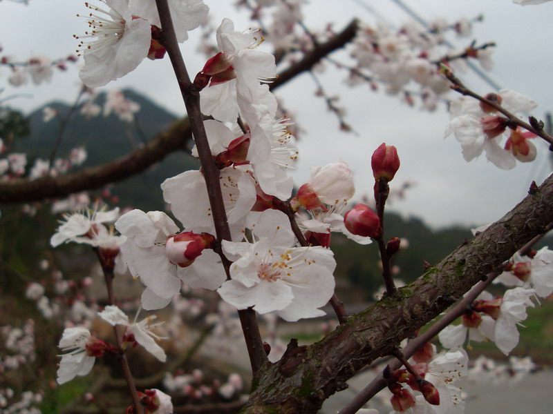 [天台驴友俱乐部]___休闲活动剪影