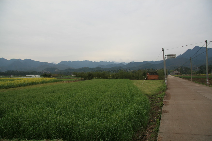 沿始丰溪旅游线
