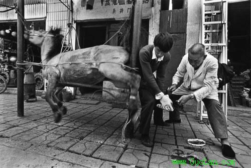 中国本土纪实照片欣赏zt
