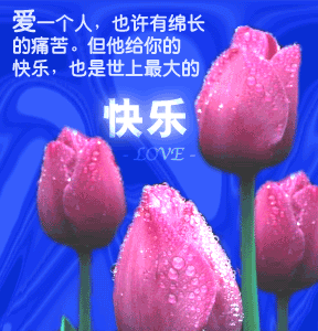 祝妇女（三八）节快乐！