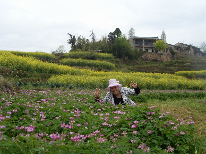 [天台驴友俱乐部]活动之-----走古道.赏油菜花.登莲花峰顶