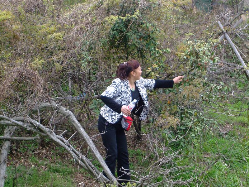 [天台驴友俱乐部]活动之-----走古道.赏油菜花.登莲花峰顶