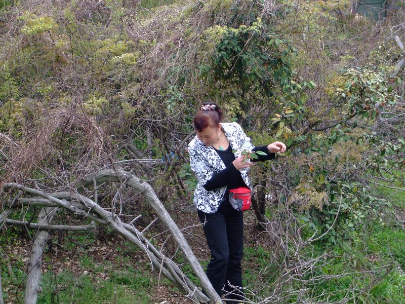 [天台驴友俱乐部]活动之-----走古道.赏油菜花.登莲花峰顶