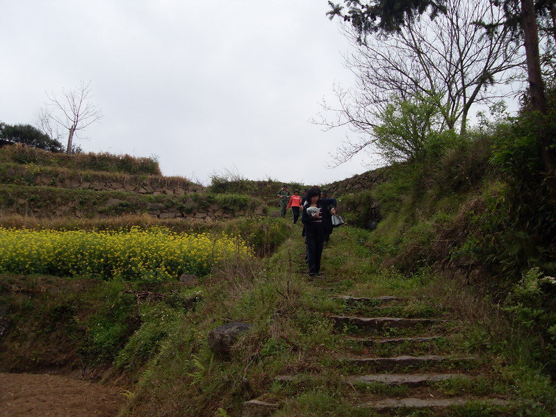 [天台驴友俱乐部]活动之-----走古道.赏油菜花.登莲花峰顶