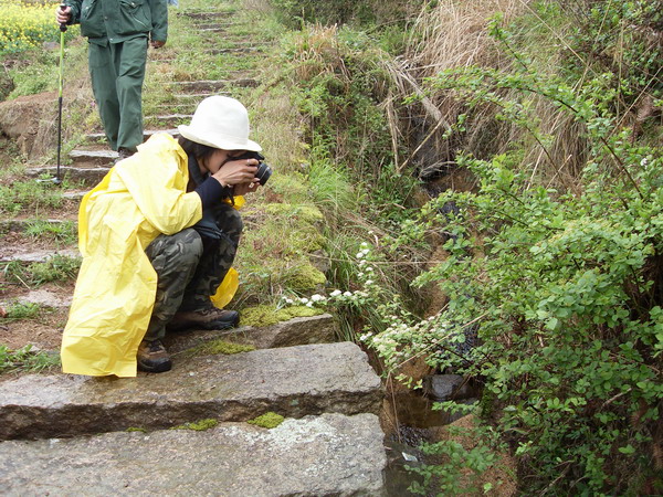 [天台驴友俱乐部]活动之-----走古道.赏油菜花.登莲花峰顶