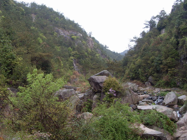 [天台驴友俱乐部]活动之-----走古道.赏油菜花.登莲花峰顶