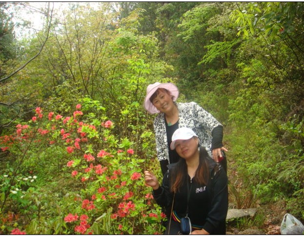 [天台驴友俱乐部]活动之-----走古道.赏油菜花.登莲花峰顶