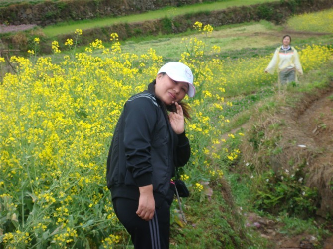 [天台驴友俱乐部]活动之-----走古道.赏油菜花.登莲花峰顶