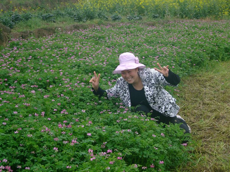 [天台驴友俱乐部]活动之-----走古道.赏油菜花.登莲花峰顶