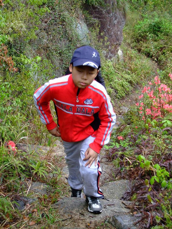 [天台驴友俱乐部]活动之-----走古道.赏油菜花.登莲花峰顶