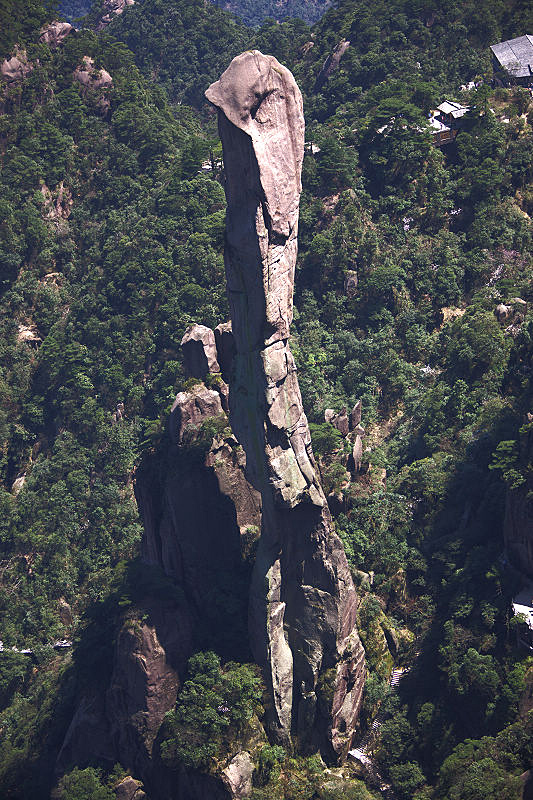 巨蟒出山