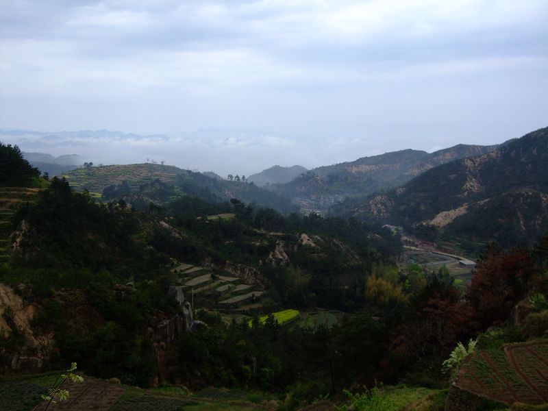 [天台驴友俱乐部]活动之-----走古道.赏油菜花.登莲花峰顶