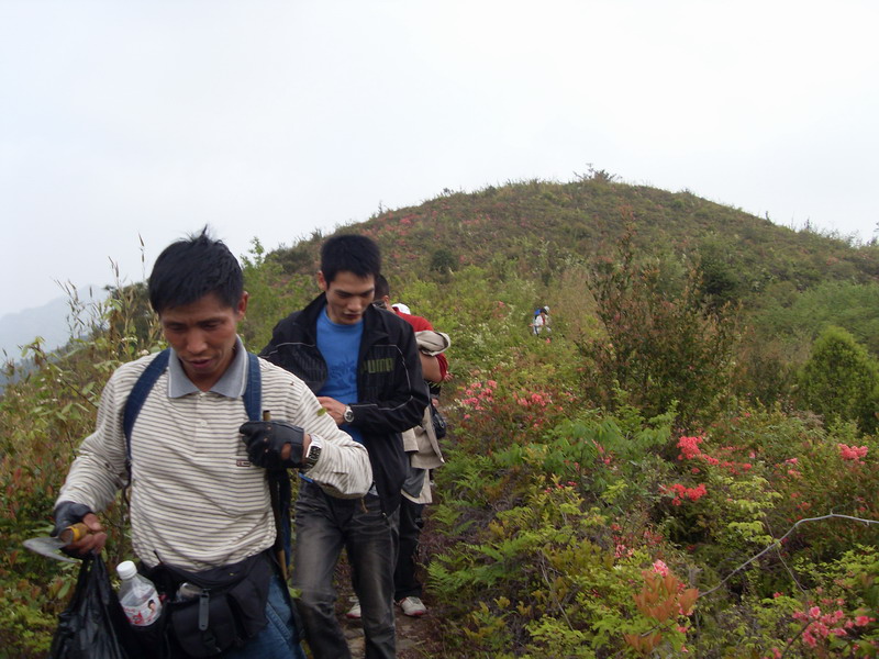 [天台驴友俱乐部]活动之---小走南山小岭