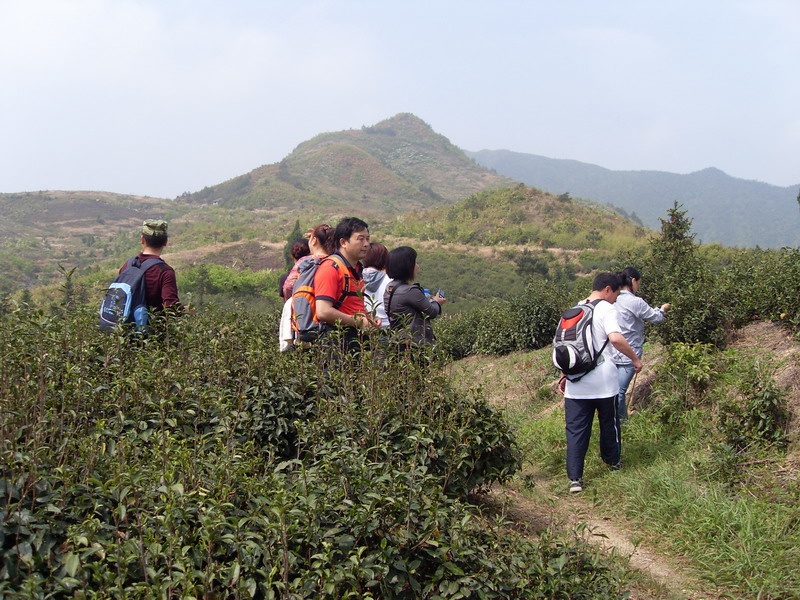 [天台驴友俱乐部]活动之---小走南山小岭