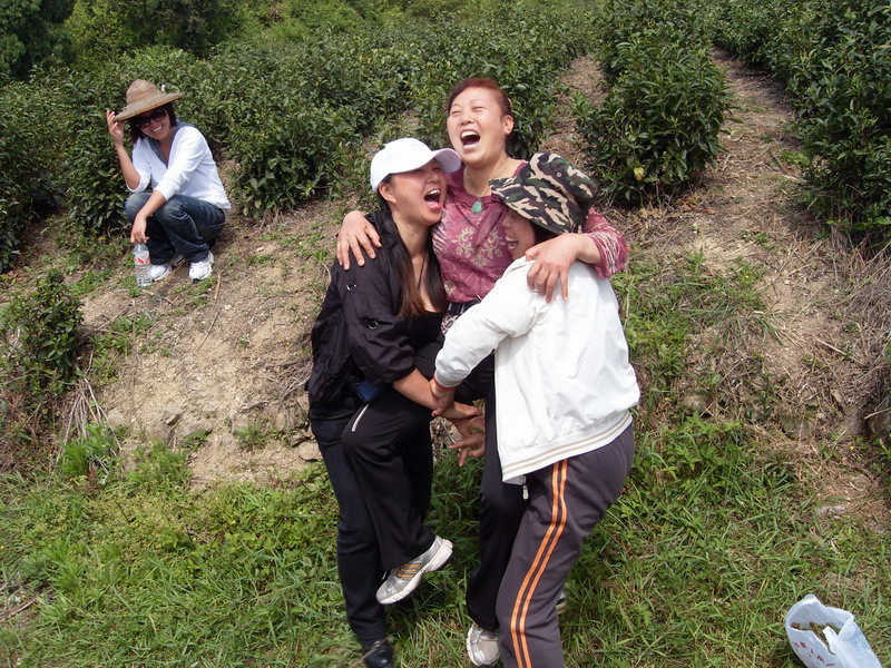 [天台驴友俱乐部]活动之---小走南山小岭