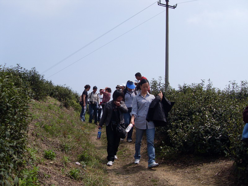 [天台驴友俱乐部]活动之---小走南山小岭
