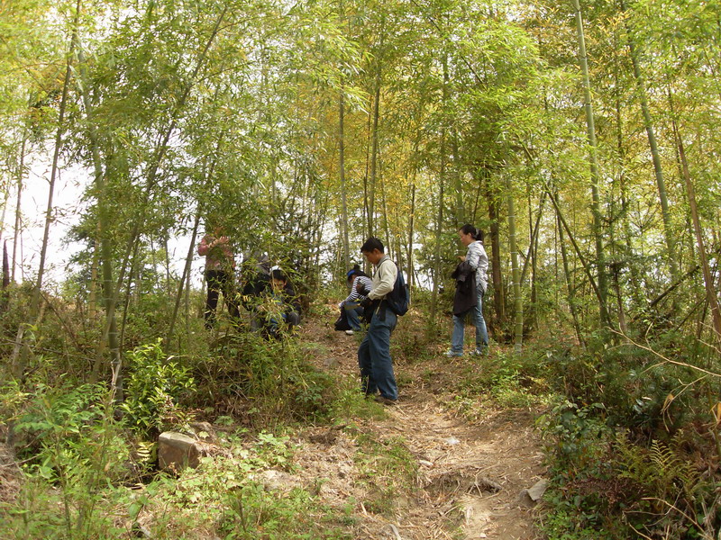 [天台驴友俱乐部]活动之---小走南山小岭