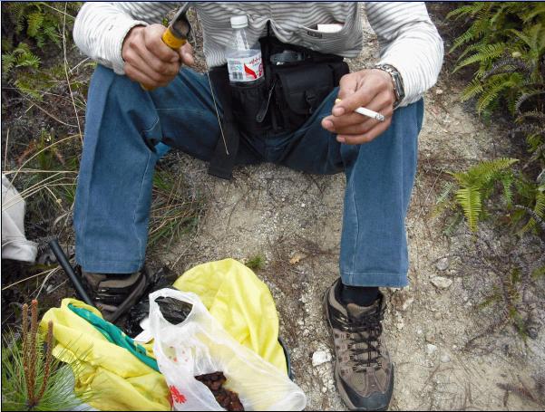 [天台驴友俱乐部]活动之---小走南山小岭