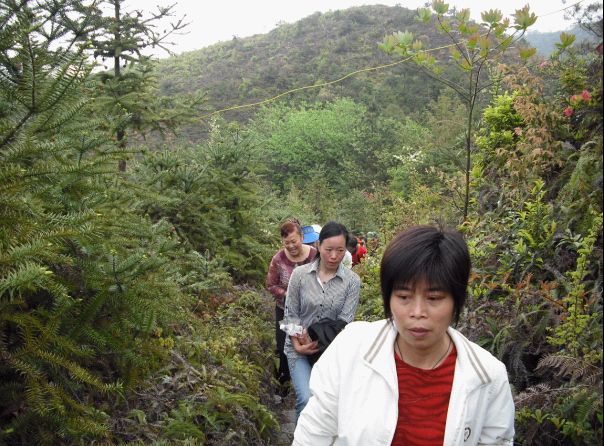 [天台驴友俱乐部]活动之---小走南山小岭