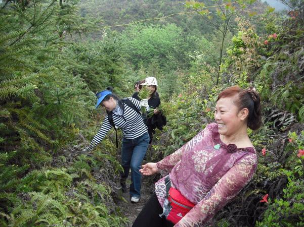 [天台驴友俱乐部]活动之---小走南山小岭