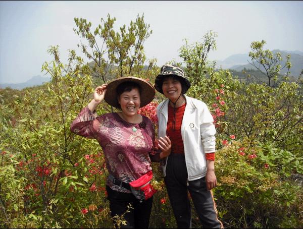 [天台驴友俱乐部]活动之---小走南山小岭
