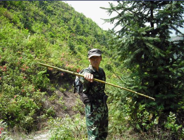 [天台驴友俱乐部]活动之---小走南山小岭