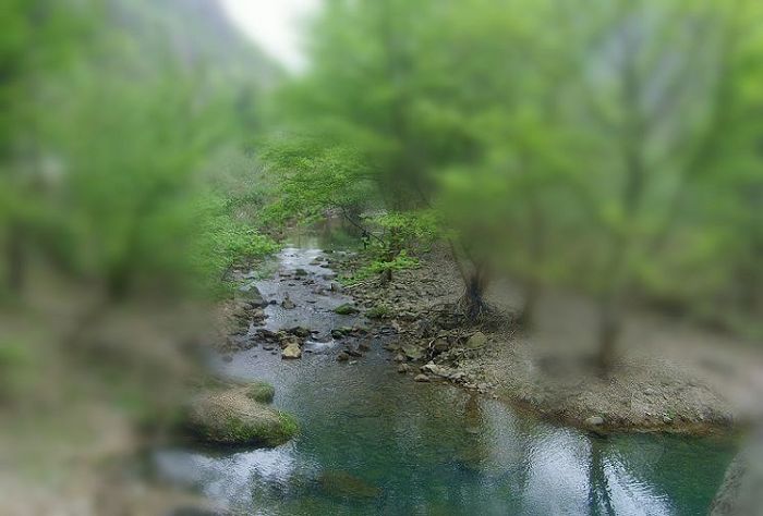 [天台驴友俱乐部]活动之---小走南山小岭