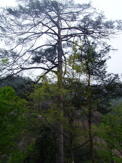 [天台驴友俱乐部]活动之---小走南山小岭